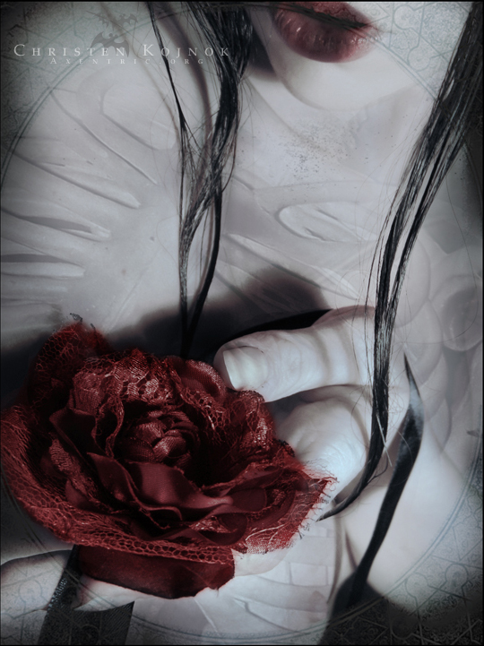 Alternative vision 1160748006 i 4915 full